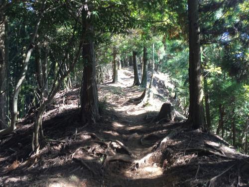 ここから頂上まではひたすら尾根道になる