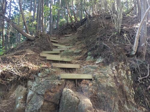 このあたりはちょい急登が続くが、階段やらちゃんと整備されていたので歩きやすかった