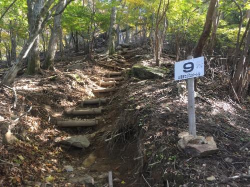 おや？8地点が見つからず9地点まできてしまった。8地点は下山時に見つけようと思ったけど・・・