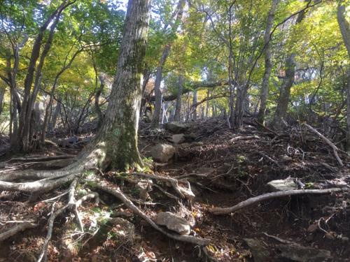 9地点からが急登