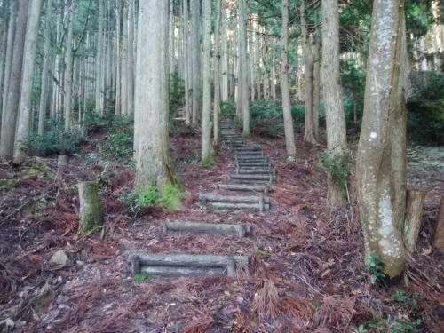 いきなり階段が続く