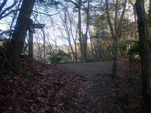 ここを右でここから尾根道