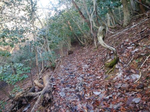 道はよく整備されている