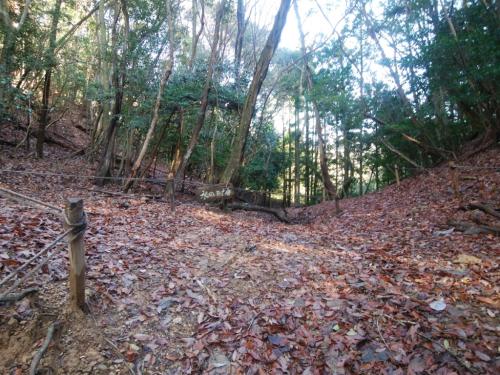 水のみ場と書かれたこの場所。なだらかな道はこの付近で終わり。水なんかないけど、ここから登りになるので水飲んでおけってことか！？