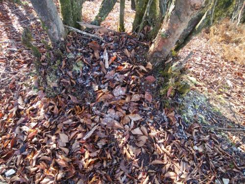 ちらっと雪があった