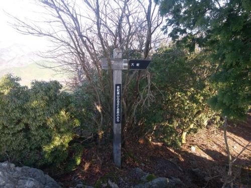 大タワへ向かいます