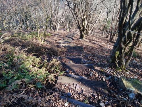 長い階段を下りていって