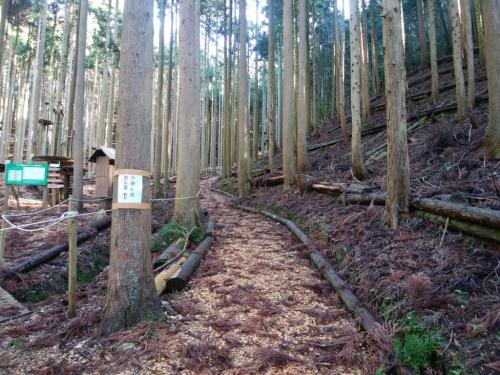 道はキッチリ整備されている。ここからしばらく谷を登っていく