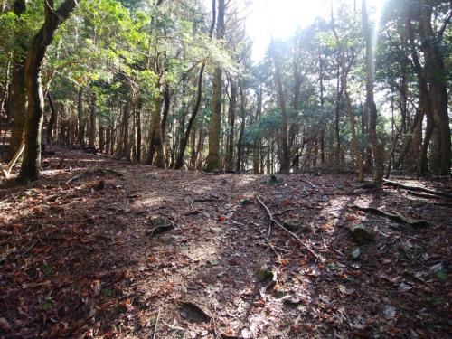 谷の道は終わり、ここから尾根に入る