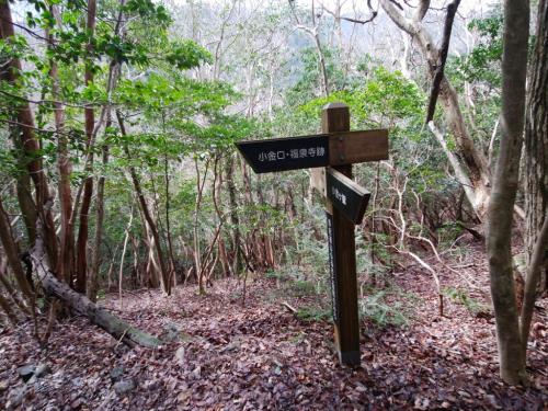 さあ、小金口に下ります
