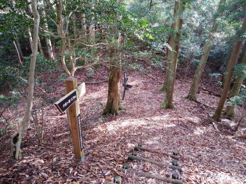 ここで分岐。右へ行くと駐車場のある道路に出るけど、もう小金口まで下って行くことにした