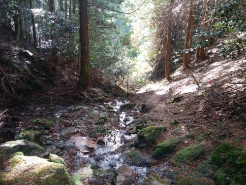 小金口までは谷を下っていく