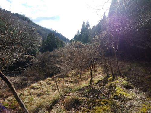 堤防まできたらあと少し