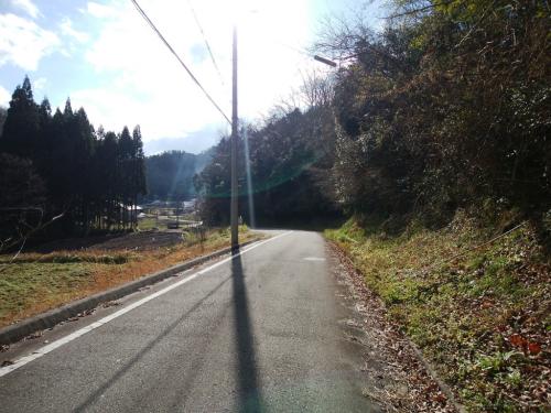 道路を20分ほど歩いて駐車場に戻る