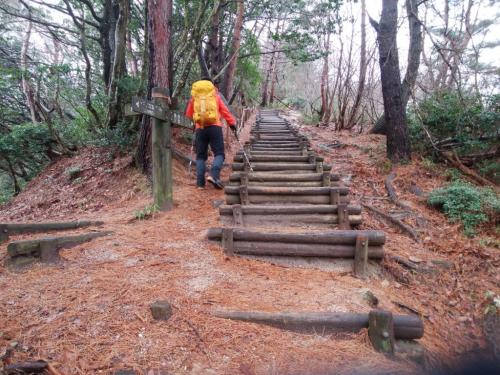 まずはすごい長い階段がまっていた