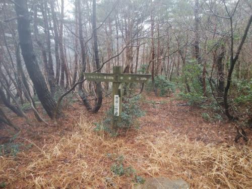 階段が終わり赤坂山まで3.0km地点