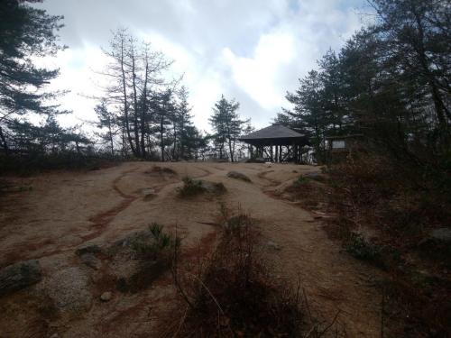 武奈の木平に到着