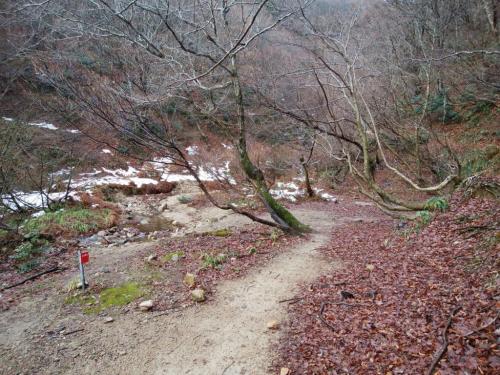 ここから少し沢筋を歩く