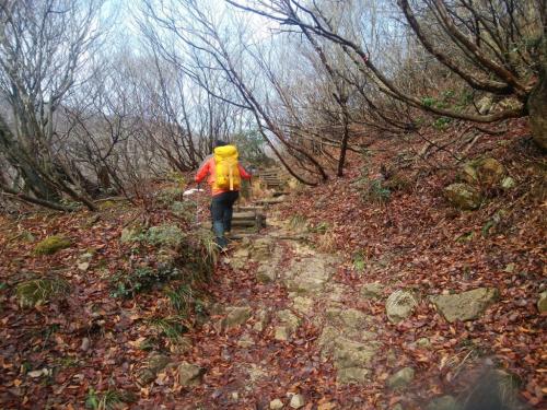沢筋から外れるとジグザグの登りが続く