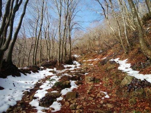 お、雪が出てきた