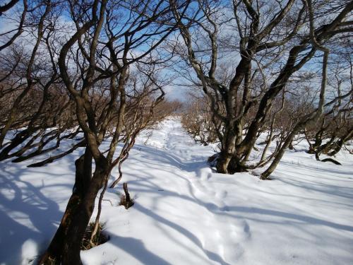 青空と雪道がいい感じ