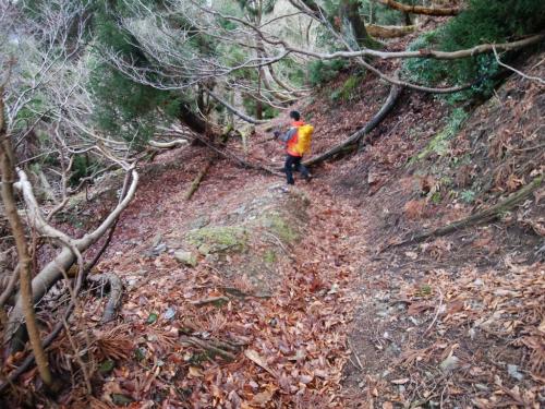 すっかり雪がなくなった