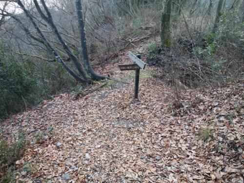 西山林道出合に到着。ここを左に折れます