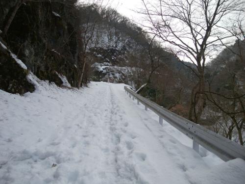 歩きにくいし長い林道だ