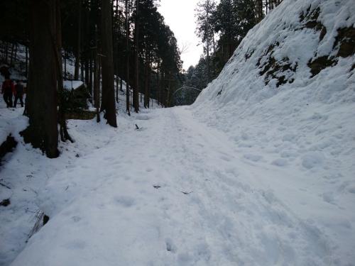 さあ、ここから登山スタート
