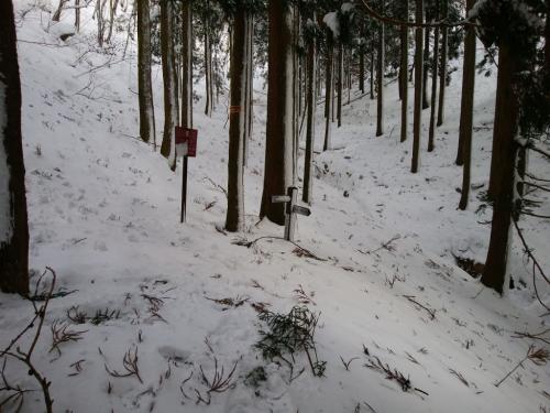 大洞谷源頭ここからジグザグ登りになるはずだったが