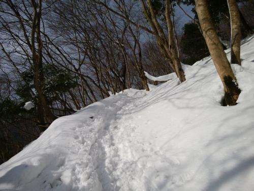 雪の量が増えてきた