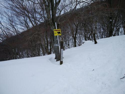 五合目の見晴台に到着