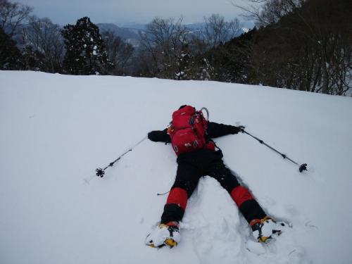 フワフワそうだったのでダイブしてみた