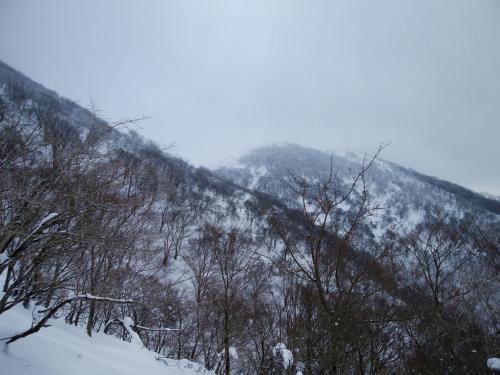 山頂付近はガスってるぽいな