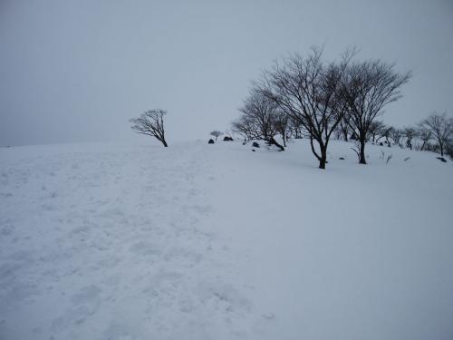本来はジグザグ道なはずだけどトレースは直登していたのでそのまま直登するが、かなり急だった
