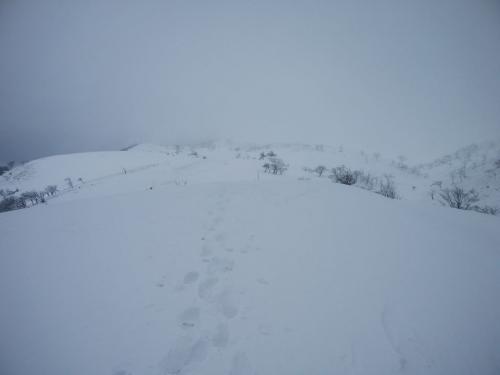 うわーやはり山頂付近はガスってる。ほぼホワイトアウト寸前