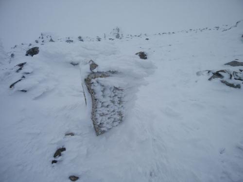 海老の尻尾がすごいことになっていた