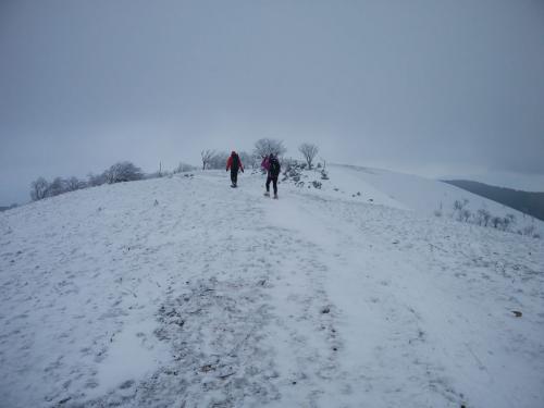 ちょっとガスがはけてきたかな！？っと思いながら避難小屋を目指す