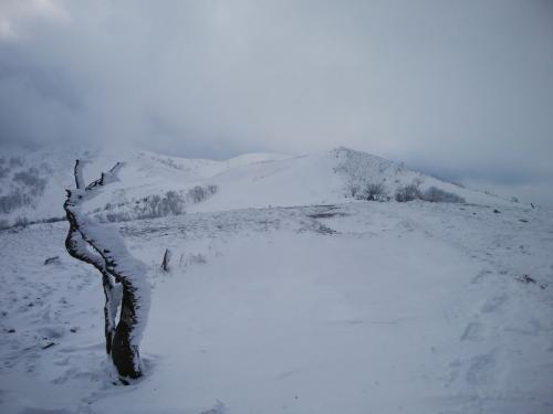 霊仙山のほうはちょいガスってるけど、稜線が綺麗に見えた。こはこれでいい