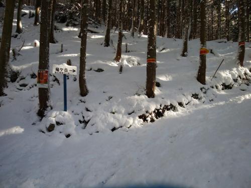 遠足尾根の登山口。ここから急登が始まる