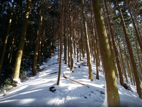 見ただけで登るのが嫌な感じの斜面だけど、歩いてみるとジグザグで結構いける