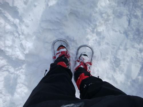 あまりにもズボズボはまるのでわかん装着。他の方はスノーシューはいてました