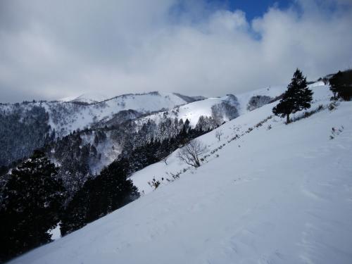 樹林帯が終わり開けた場所に出る。これが見たかったのも一つ