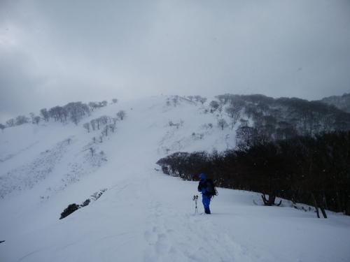 金山尾根分岐のピークの手前。ここで登山好人さんが足を痛めて敗退となる。くみちょさんも敗退。ここで俺も敗退してればよかったとあとで思うことになる