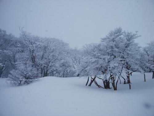 途中で休憩した場所だけど、これで青空があれば最高なのに・・・ちなみに、ここでダイブしようと思ったけど、もうそんな余裕もないほどの天候だった。