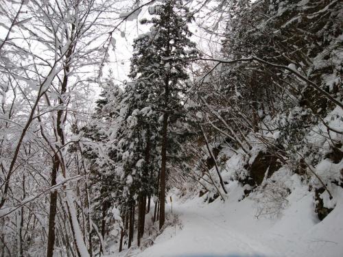 相変わらず長い林道であることは間違いなかった