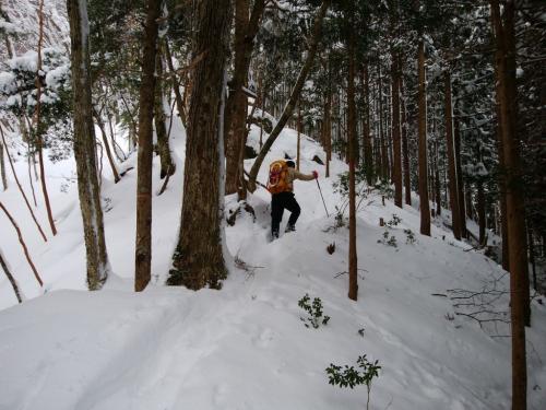 樹林帯の登り。トレースはついてたけど、ちょい先頭は歩きにくい