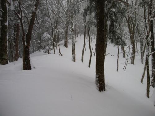 ここで一旦トレースがなくなった。さらにヒーヒー言いながら登っていく