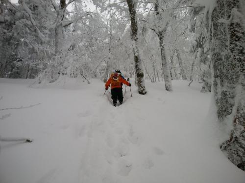 確か、足が痛むし、この付近でもう敗退を考えたけど、あと標高20mほどなのでがんばっていくことにする