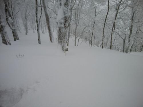 金引尾根分岐に到着。ここで雪が深いのでわかん装着